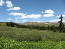 photo thumbnail #8
