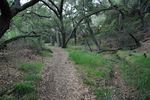 photo thumbnail #4