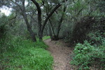 photo thumbnail #5