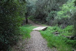 photo thumbnail #9
