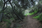 photo thumbnail #10