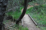 photo thumbnail #11