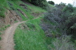photo thumbnail #12