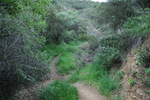 photo thumbnail #14
