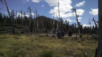 photo thumbnail #4