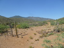 photo thumbnail #1