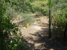 photo thumbnail #3