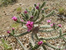 photo thumbnail #5