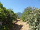 photo thumbnail #11