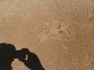 photo thumbnail #15