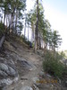 photo thumbnail #1