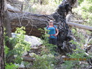 photo thumbnail #3