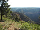 photo thumbnail #12
