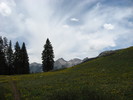 photo thumbnail #4