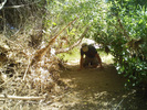 photo thumbnail #9