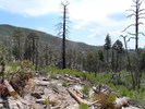 photo thumbnail #2