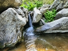 photo thumbnail #12