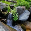 photo thumbnail #14
