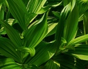 photo thumbnail #15