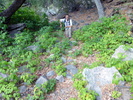 photo thumbnail #6
