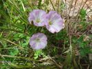 photo thumbnail #8