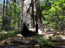 photo thumbnail #13