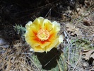 photo thumbnail #15