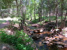 photo thumbnail #6