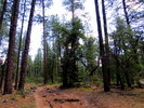 photo thumbnail #8