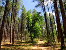 photo thumbnail #9
