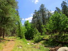 photo thumbnail #11
