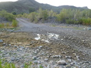 photo thumbnail #6