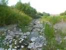 photo thumbnail #10