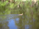 photo thumbnail #14