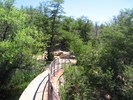 photo thumbnail #15