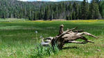 photo thumbnail #8