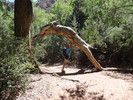 photo thumbnail #2