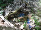 photo thumbnail #13