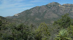 photo thumbnail #12