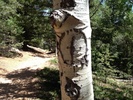 photo thumbnail #12