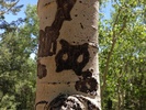 photo thumbnail #13