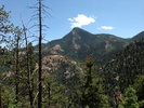 photo thumbnail #14