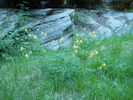 photo thumbnail #14