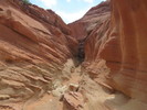photo thumbnail #8