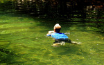 photo thumbnail #10