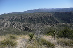 photo thumbnail #4