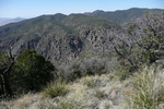 photo thumbnail #5