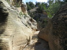 photo thumbnail #2