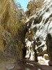 photo thumbnail #13