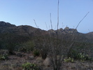 2013-06-20 :1: Buster Canyon Loop - Tucson :: Mountain_Rat